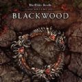 Blackwood官网版v1.0