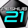 peshub21中文版v1.0
