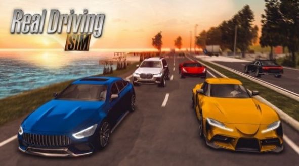 realdrivingsim汽车版截图1