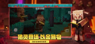 我的世界minecraft1.16截图3