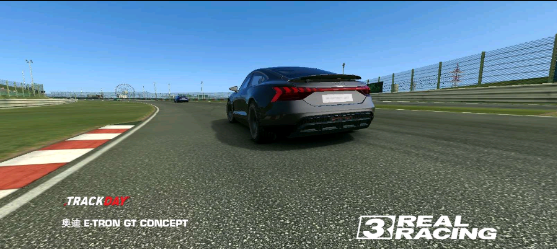 real racing3截图2