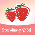 草莓公园手机版
