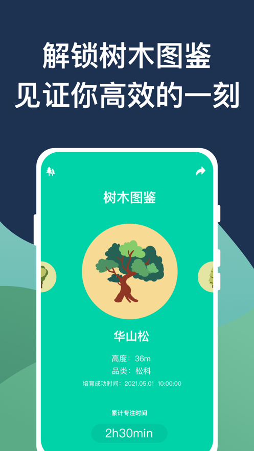 效率森林截图1