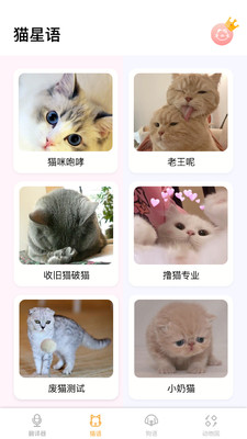 翻译猫语言翻译器免费版软件截图