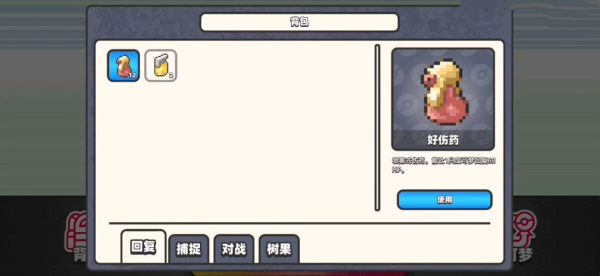 口袋妖怪DS内测版官方版游戏截图
