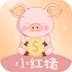小红猪贷款app