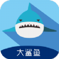大鲨鱼贷款app