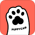 puppycam苹果版