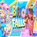 bro falls
