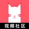 奶猫视频app