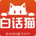 白话猫