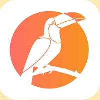 大嘴鸟借款app