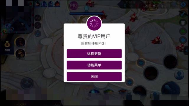 王者荣耀无cd修改辅助器2021最新版游戏截图
