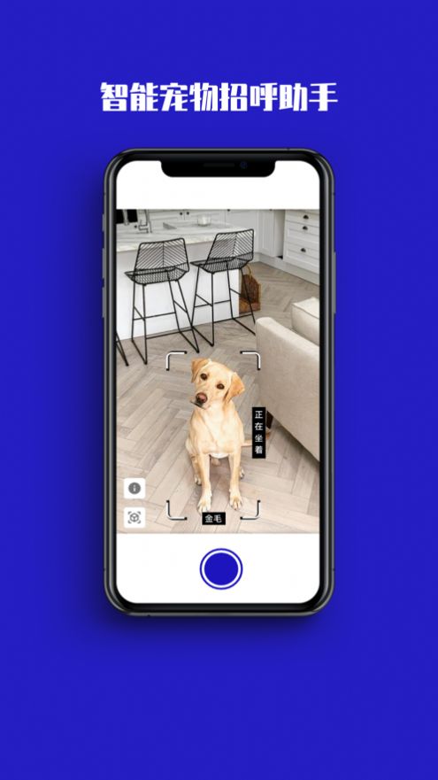 神马AI相机苹果版软件截图
