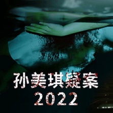 孙美琪疑案2022