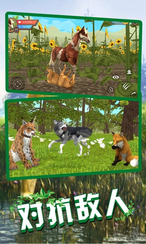 狼王狩猎模拟截图3