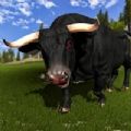 愤怒的公牛攻击捕食者3D安卓版游戏截图